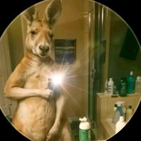 hassanemiliokabendelaij