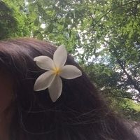 handa_722