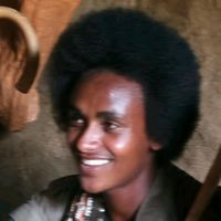 fanokigofking2