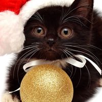 christmas_account_x
