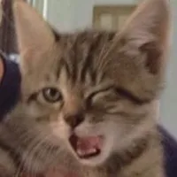 we are literally two idiots