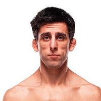 steveercegsbiggestfan