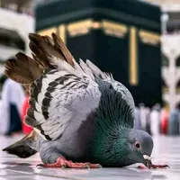 original sound - abdullatifmuh