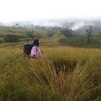 suara asli - senasagia
