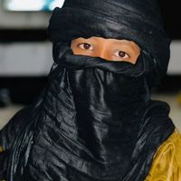 الصوت الأصلي