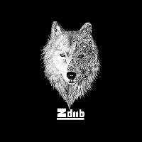 original sound - zdiibmusic