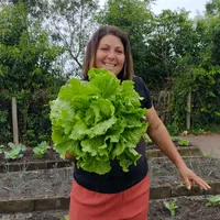 original sound - horta_da_ju