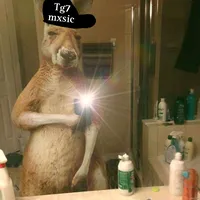 original sound - tg7mxsic