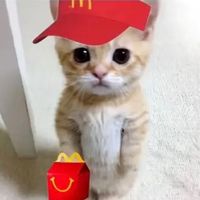 nevaehtrujillogallegos6