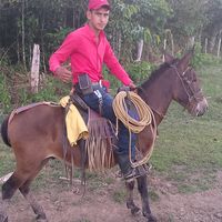 reynaldo.amador37