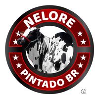nelore_pintado_br