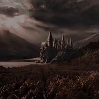 potterxzy