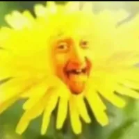 original sound - aurrxzz