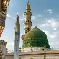m.usman51155