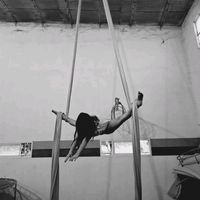 aerial.luu