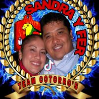 fernandocotorrohernandez