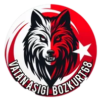 original sound - vatan_asigi_bozkurt68