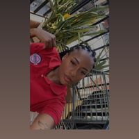 andrearayo263