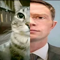 original sound - dokad0