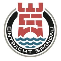 TikTok Creator - einspandau