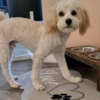 original sound - soniacarrillo431