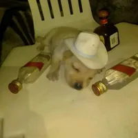 The soldier