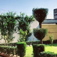 original sound - sadamadnank