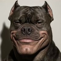 mbtunez