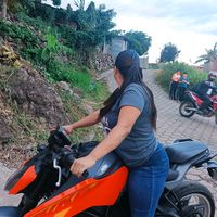 arauznn3