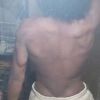 naosanto_y.n.w