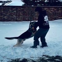 thleastfavoritechild