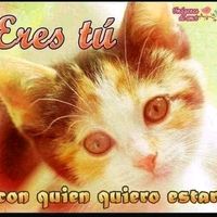 sofi_c_10