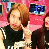 myxchaeex