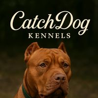 catchdogkennels2.0