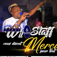 original sound - fiavi228wil