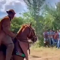 felipesilvaaa69