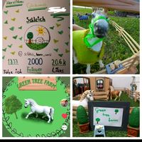 vanessas_schleich_welt