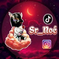 sr_noe504