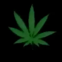 original sound - pilxhuisin