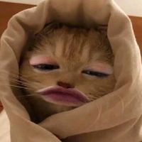 suara asli - sparkles pink