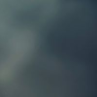 megan_thecookiewaxer