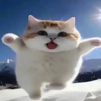 tiktoktypeshiii