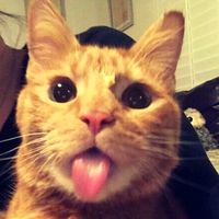 liily_stwb