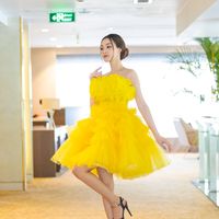 Cô gái viêng chăn