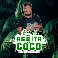 original sound - aguitadecocooficial