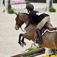 brooke_equine_