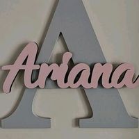 ariana.cruz495