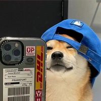 nxnxch1zzz