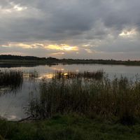 оригінальний звук