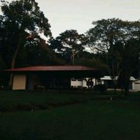 soy_alfredo502